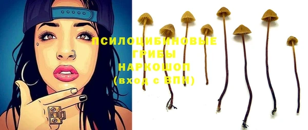 ECSTASY Армянск