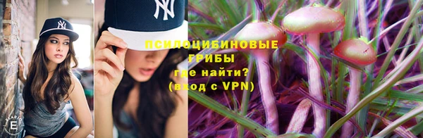 ECSTASY Армянск