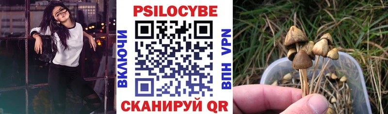 Псилоцибиновые грибы прущие грибы  даркнет сайт  Луза 