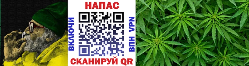 Канабис White Widow Луза